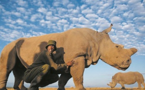 Les scientifiques font un pas de plus pour sauver le rhinocéros blanc du Nord