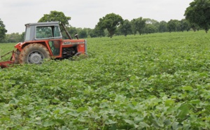La mécanisation stimule  le développement durable de l’Afrique