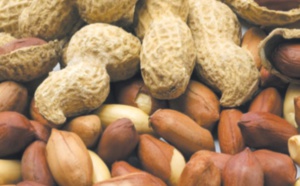 Les cacahuètes sont-elles bonnes pour la santé ?