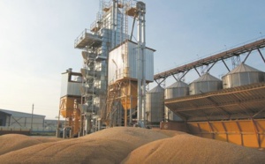 Baisse du droit à l’importation du blé