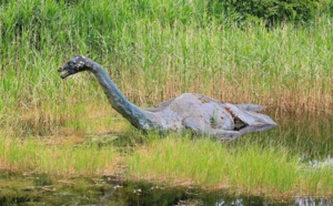 Et si le monstre du Loch Ness était une anguille ?