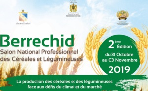 Deuxième édition du Salon national des céréales et légumineuses à Berrechid