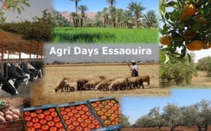 Les produits du terroir et de l'élevage à l'honneur au Salon “Agri Days Essaouira”, du 8 au 10 novembre