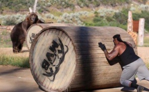 Insolite : Duel entre des ours et des hommes