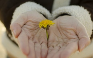 Comment cultiver le stress positif