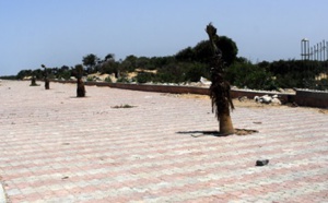 Des acteurs associatifs et des jeunes se mobilisent pour le nettoyage de la ceinture verte d'Essaouira