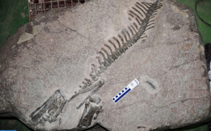 Les nouveautés en matière de géologie du quaternaire en débat à Kénitra
