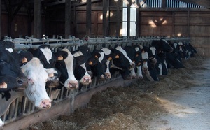 Ils appréhendent leur exclusion du programme d’aide : Les agriculteurs des Doukkala broient du noir