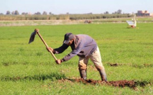 La résilience de l'agriculture paysanne face aux changements climatiques