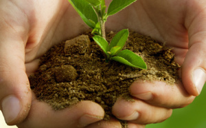Ateliers de formation sur l'écologie au profit des élèves