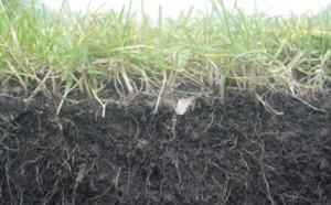 La Fondation OCP appuie le lancement de la carte de fertilité des sols cultivés au Ghana