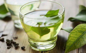 Le thé vert aide-t-il à vivre plus longtemps ?