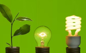 Lancement de l'appel à candidature pour le “Green Business Incubator” 2020