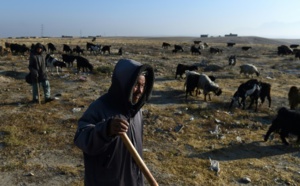 Les bergers afghans menacés par la sécheresse due au changement climatique