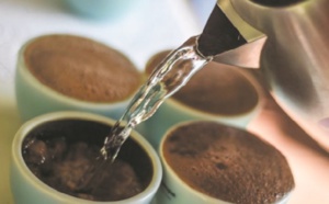 Le café Geisha du Panama: Un luxe exotique et hors de prix