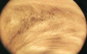 Vénus devant le Soleil : chance de vérifier les observations d'exoplanètes