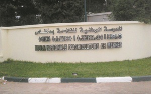 Le 13ème Forum de l’ENAM dédié à la digitalisation de l'agriculture marocaine