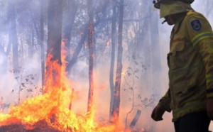 Le risque de feux de forêt augmente en Australie à cause des hommes