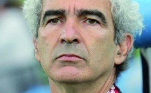 Tops et flops de 2008 : D'Arshavin aux Bleus de Domenech