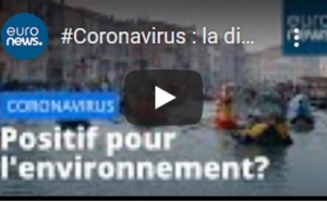Coronavirus : la diminution des activités humaines profite à l'environnement
