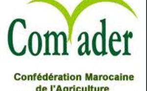 La COMADER rassure sur la continuité de la production et de l’approvisionnement du marché