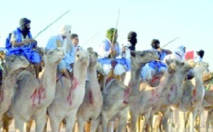 Smara : Course de dromadaires