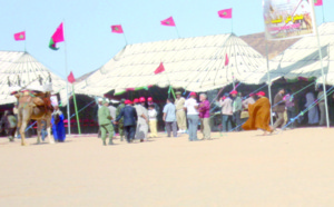 Courses camelines de Smara : Succès de l’édition inaugurale