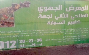 Guelmim-Smara : Pus de 729 millions de DH alloués au secteur agricole