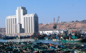 Reprise progressive des activités de pêche à Safi