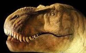Jurassic Park dans une boîte de Pétri