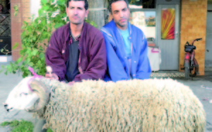 Diffusion ce soir sur 2M du téléfilm «Mabrouk Al Aid»: La rançon d’un sacrifice