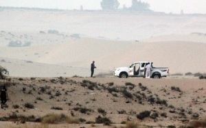 Frappes aériennes des forces égyptiennes dans le Sinaï : Une vingtaine de morts parmi les activistes islamistes