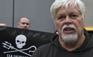 Interpol aux trousses d’un ancien membre de Greenpeace : Mandat d’arrêt à l’encontre de l’écologiste Watson