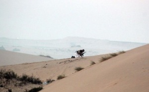 Attaque miltaire au Sinai : L’Egypte arrête six «terroristes» présumés