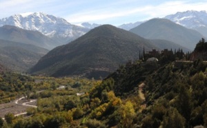 Feu de forêt à El Haouz