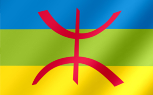 Le mouvement amazigh monte au créneau : La loi organique vivement attendue