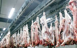 ​Les abattoirs de Casablanca certifiés ISO 22000 pour la troisième fois consécutive