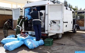 L’essentiel de la lutte contre les trafics  illicites en 2019