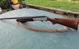 Chasse : interdiction des armes tirant  plus de trois coups successifs