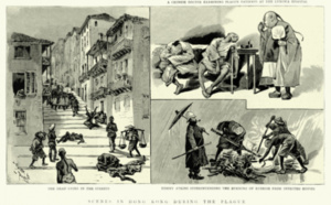 ​Épidémies... Ces romanciers qui ont tout vu !