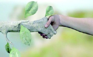 Villa des arts : La communication non violente en débat à Casablanca Villa des arts : La communication non violente en débat à Casablanca