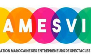 ​L’AMESVI dévoile 12 Quick wins pour la relance de la culture au Maroc