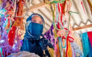 ​La grande déprime des artisans