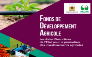 ​Hausse des subventions accordées aux  agriculteurs de la région du Gharb en 2019