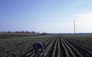Banque européenne d’investissement Prêts en faveur de l’irrigation et des technopoles