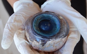 Un oeil géant découvert sur une plage de Floride !