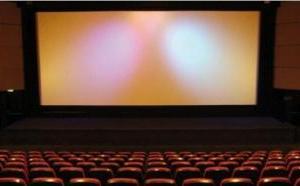 Clôture aujourd’hui des premières Assises nationales sur le cinéma : Créer les condition du développement