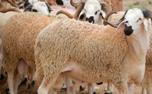 ​Une série de mesures  pour l’Aïd