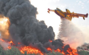 ​La Forêt diplomatique de Tanger ravagée par le feu