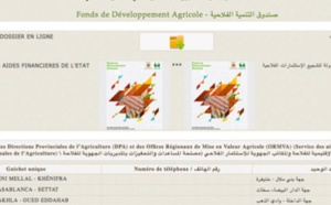 ​Mise en place d’une plateforme électronique  dédiée aux demandes des subventions agricoles